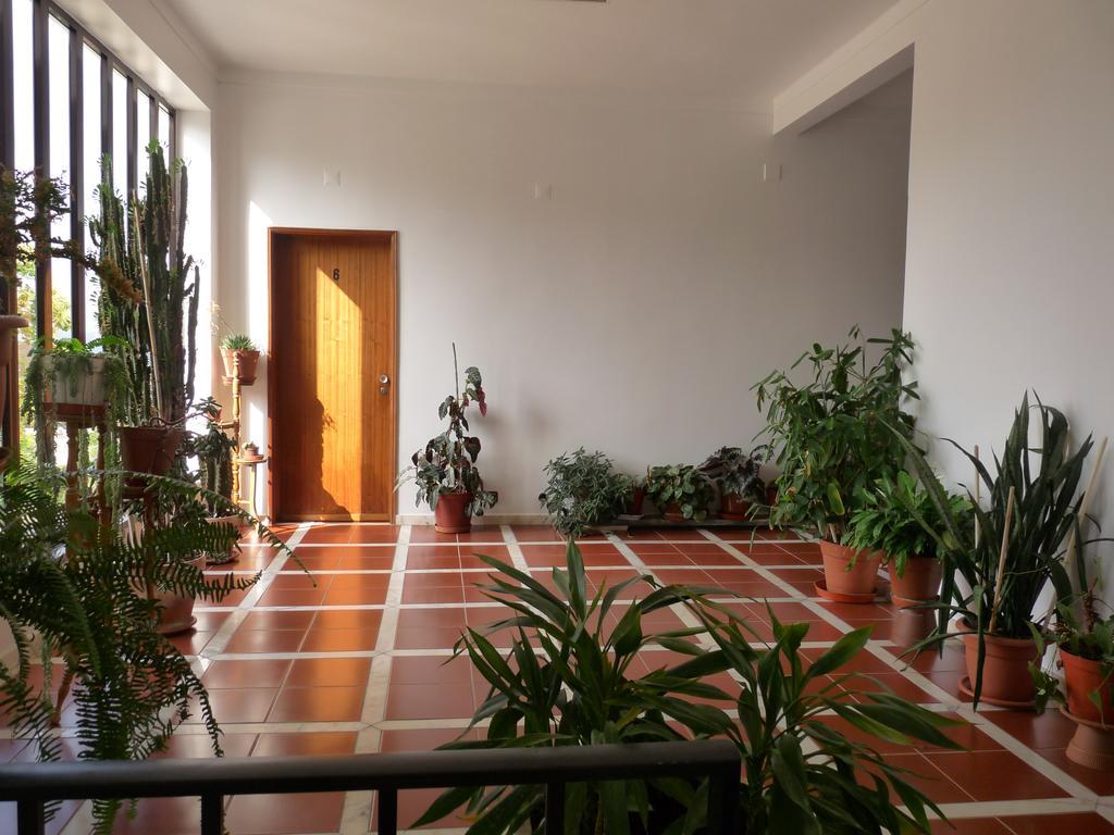 Отель Residencial O Bras Alvaiazere Экстерьер фото